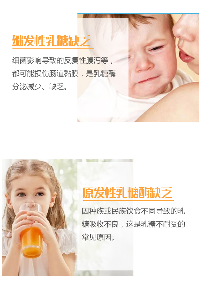 乳糖梅益生菌复合粉