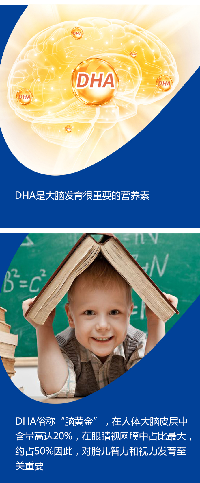 DHA藻油凝胶糖果