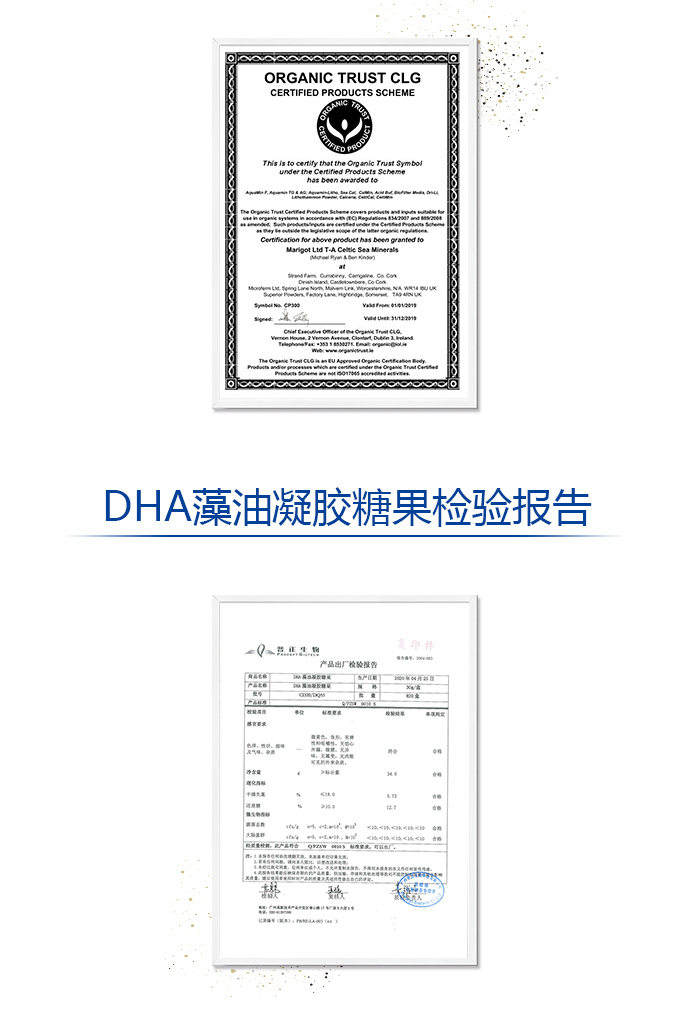 DHA藻油凝胶糖果