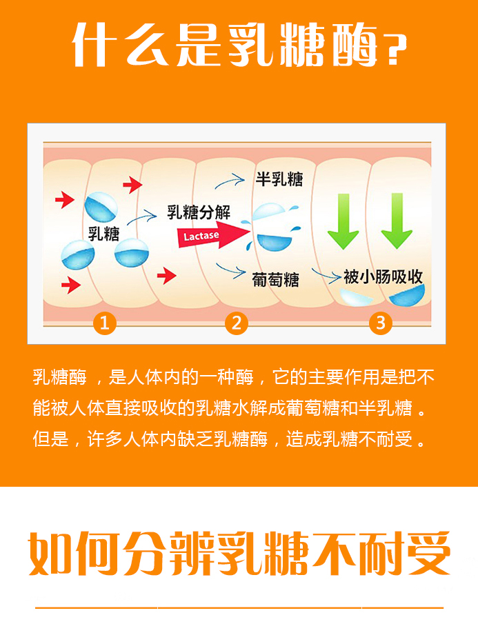 施儿佳乳糖酶水解蛋白调制乳粉